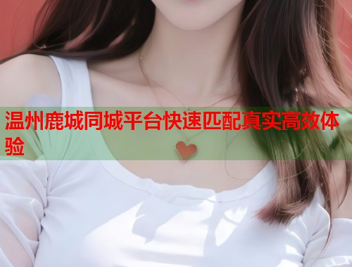 温州鹿城同城平台快速匹配真实高效体验